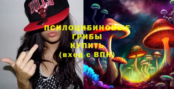 МДПВ Алексеевка