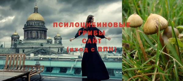 ECSTASY Алзамай