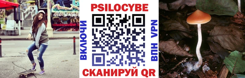 Псилоцибиновые грибы Psilocybine cubensis  Адыгейск 